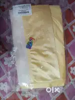 Windows shield