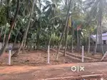 Land for housing and agriculture purpose