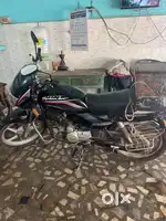 Meat and fish delivery boy