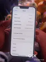 iPhone Tera