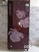 Kelvinator fridge