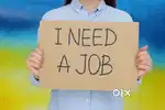 PROFESSIONAL WORK