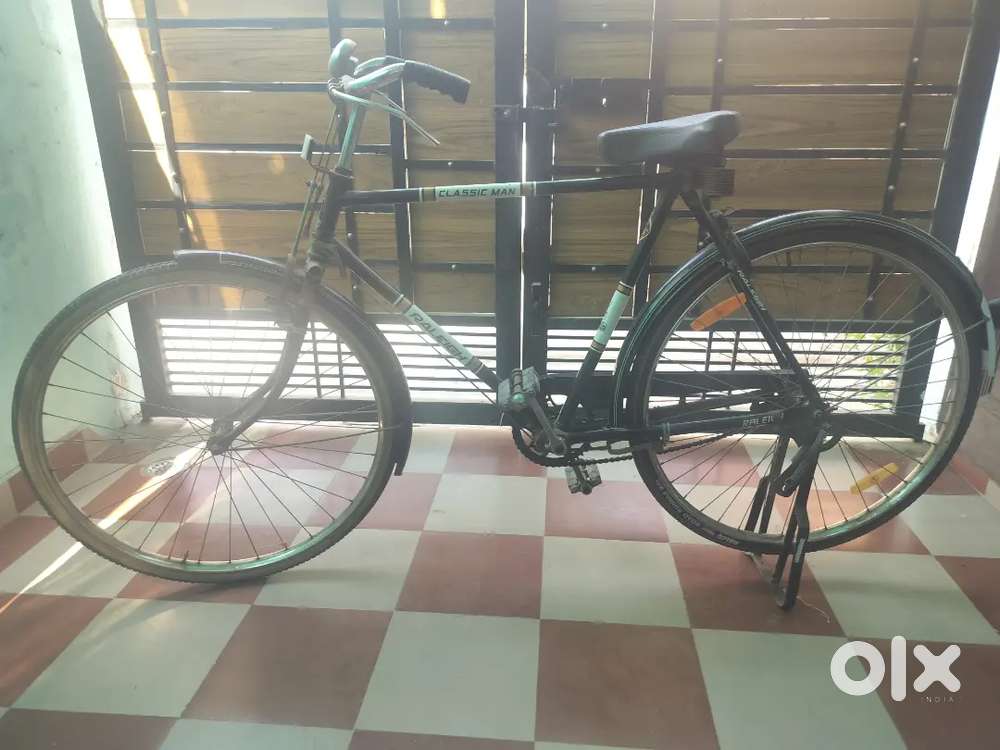 Raleigh Cycle bearing model