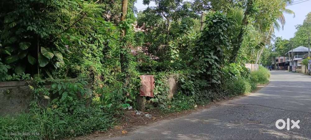 THURAVOOR (ALP Dt): 12+ cents Main Road Land Near TD and Chavadi