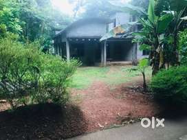 House for sale in Pathanapuram