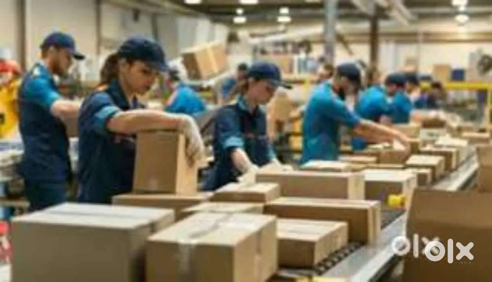 WARE HOUSE PACKING, HELPER,
SCANNING JOB IN LUCKNOW