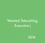 Wanted Telecalling Executive