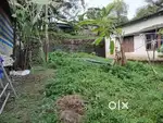 2 cent plot near macaroni,kottayam kerala