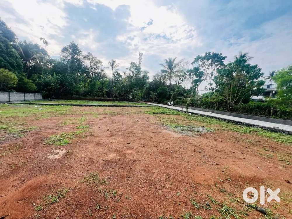 Aluva Desom 300 meter NH, 4,5,10,20 cents house plot for sale