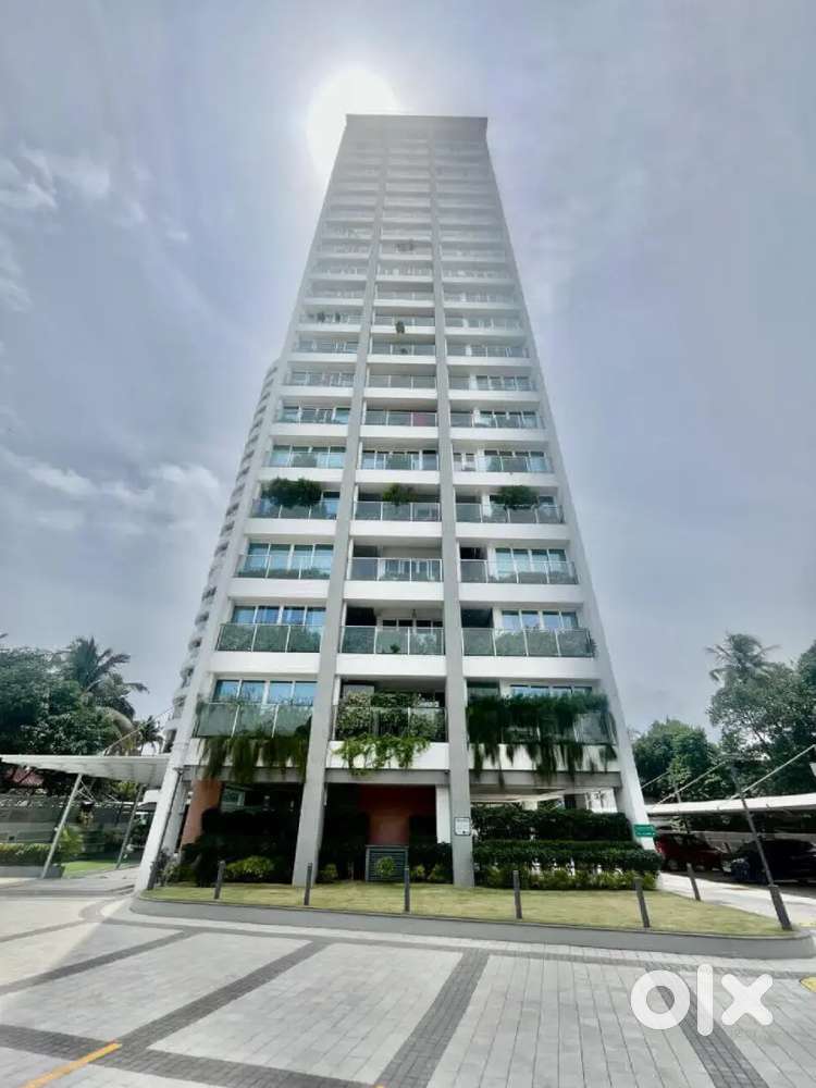 Palarivattom National kingdom 3bhk flat for sale