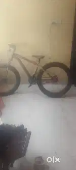 Big tyre cycle