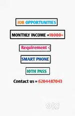 Online business opportunities For 18+