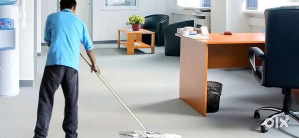 Office Boy/Girls