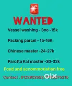 Chinese master & parsel master