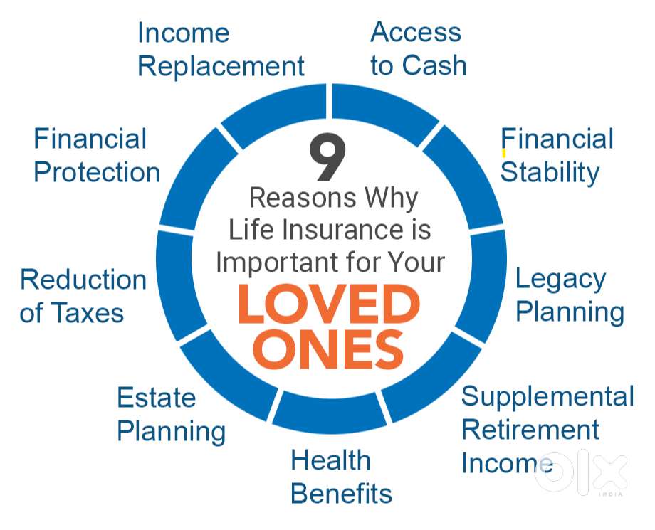 Insurance, Astrology  services & Marketing