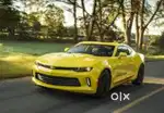 Wanted drivers for travels trips / company trips