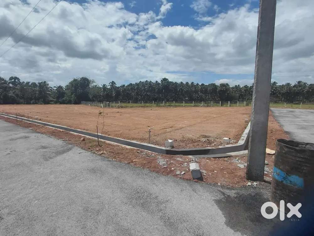 குறைந்த விலை Dtcp Plot Sale in கிணத்துக்கடவு