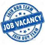 Sales Executive