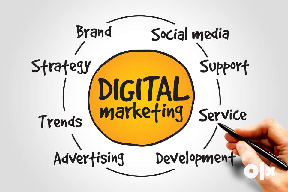 SEO/SMO- Digital Marketing Executive Need