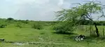 CORNER PLOT AVAILABLE, KURSI ROAD, UMRA, NEAR RP COLLEGE OF PHARMACY