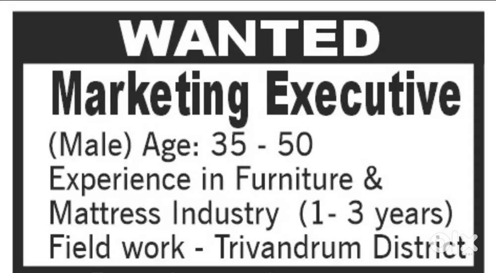 Sales executive - Male - Furniture industry