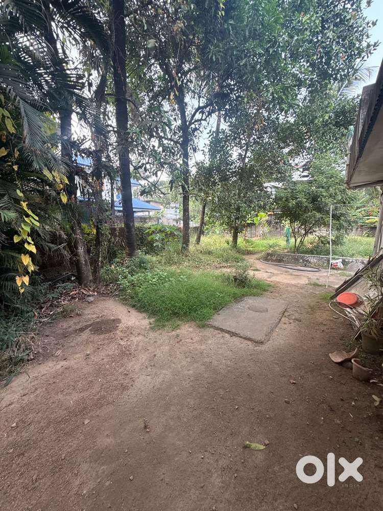 Road side property ,useful to comercial purpose and build home