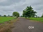 Residential Plot Beside National Highway (200 Meters)  : Bhogapuram