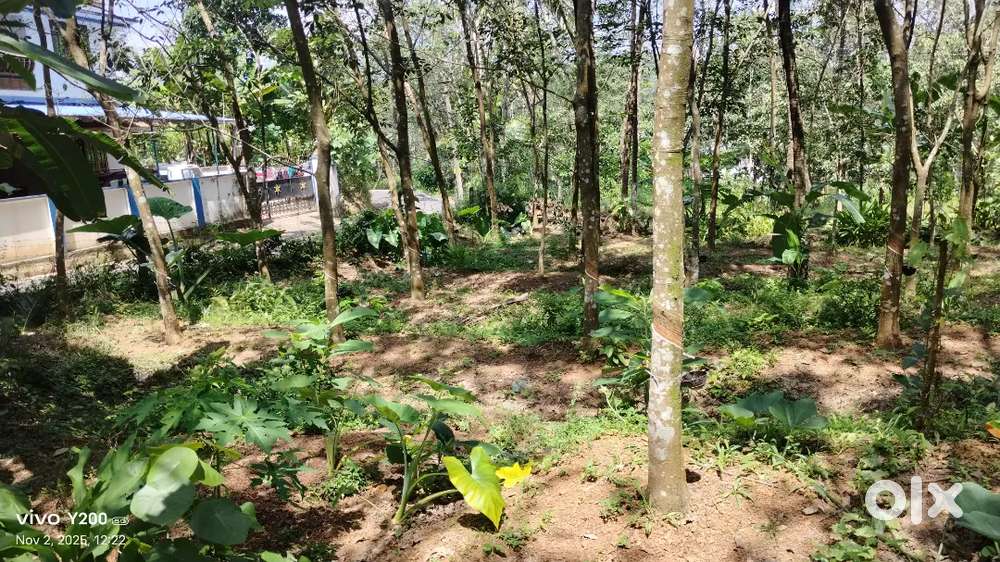 Property near by ambalammukku maadankaavu