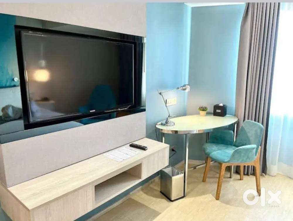 2bhk/3bhk fully furnished indp. flat only for working and family gms