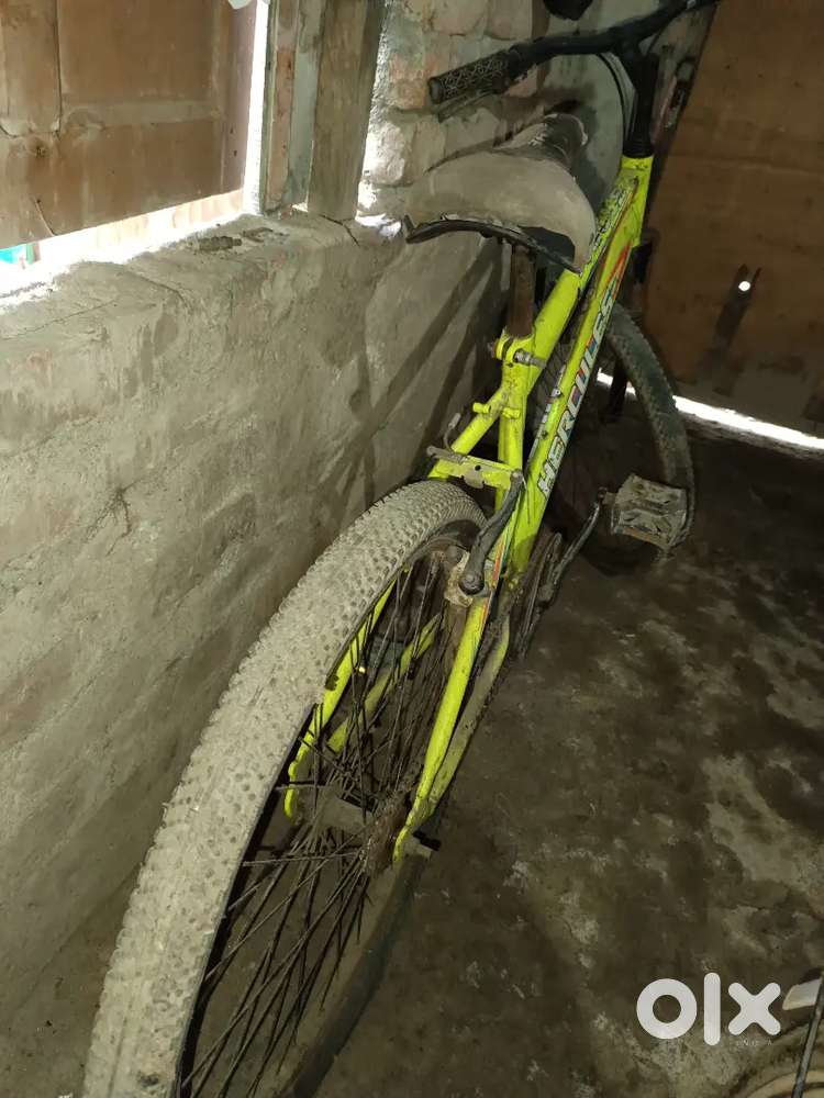 Sports category cycle