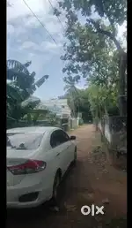 5.80 cent plot sale in Vairakudy,near Paruthivilai