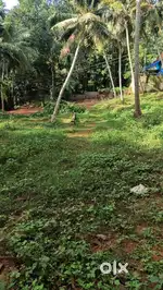 10 cent square plot