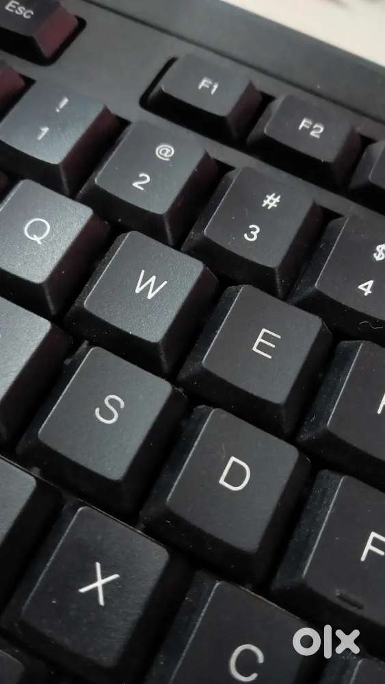 Keyboard (working model)