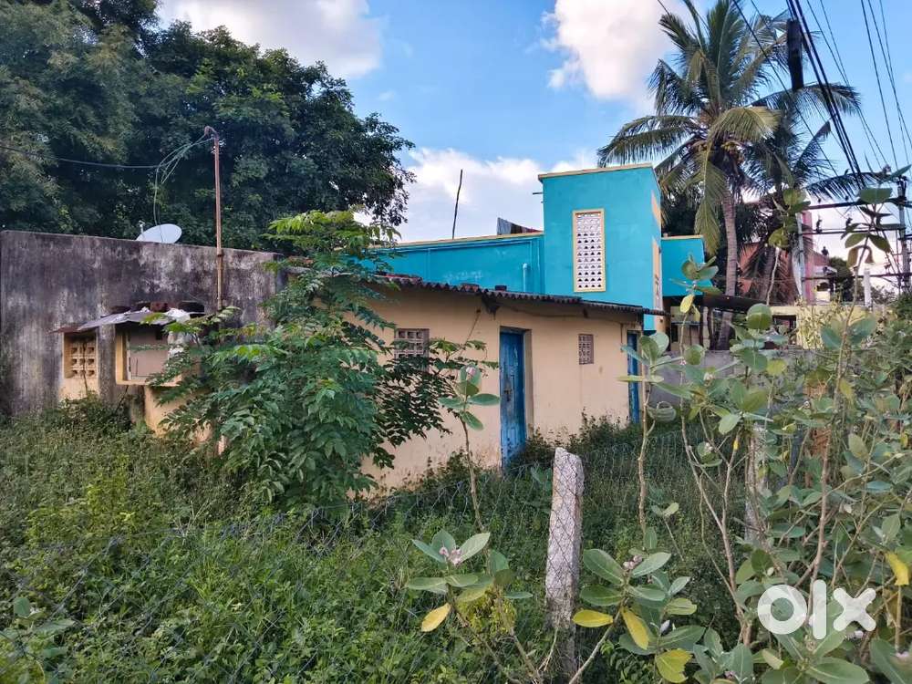 House land for sale