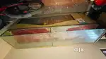 Counters for shop