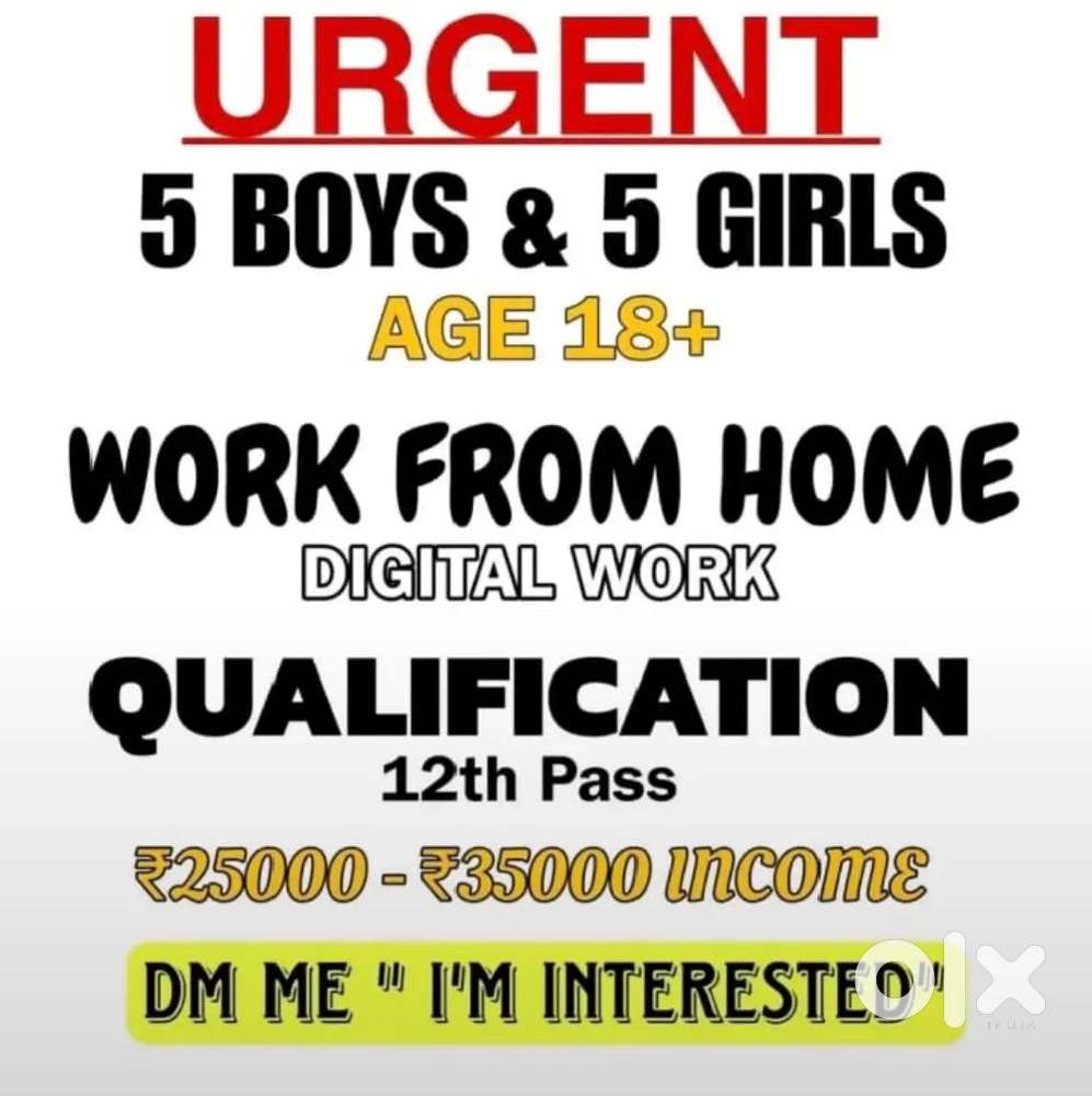 Work from home house wife college student anything else