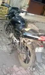 Pulsar 150cc (2016)