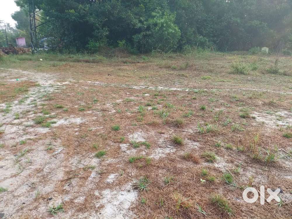 5, 7, 10, 15  Cents house plots near Pathirapally  junction Alappuzha