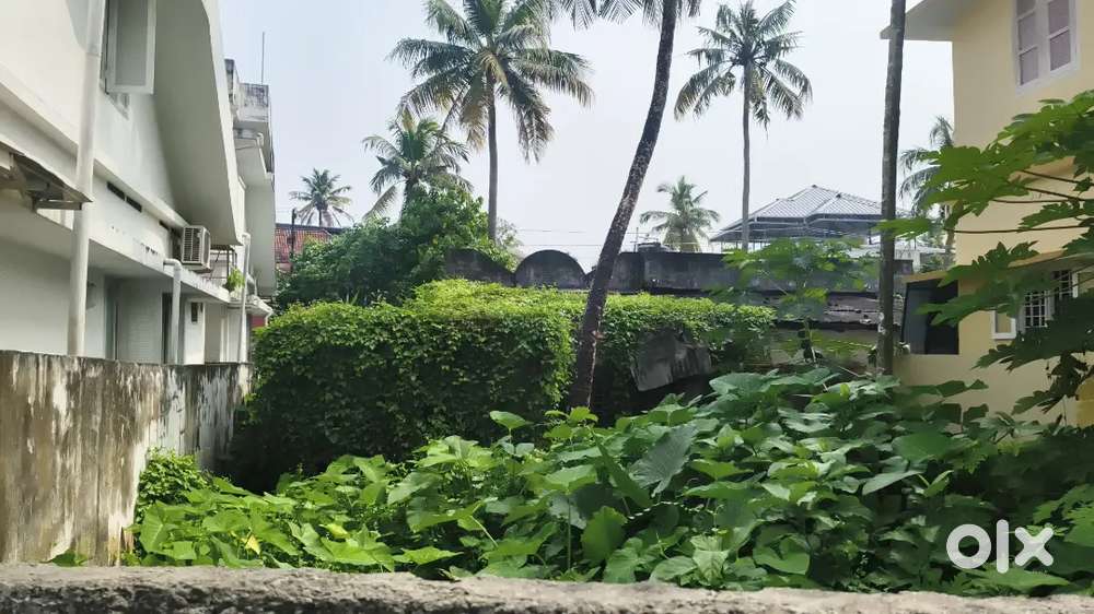 2 Cents Car access plot for sale in thoppumpady