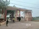 Residential Open Plot(Pacheda)