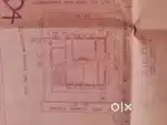 Genuine bayer