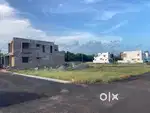 Konam VIP Garden DTCP plot