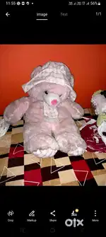 Teddy bear