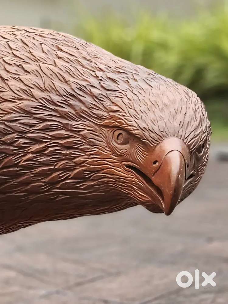 Wooden Eagle