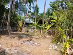 7 CENT RESIDENTS PLOT PATTATHANAM AMMANADA BUS ROOT JUST 250 METER