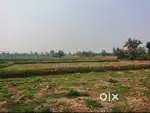 On-Road Premium Plot for Sale in Daudnagar, Aurangabad (Bihar)
