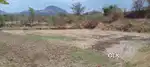 Want to sell 2 acers 2 agricultural plots near Pradesh Wadi Igatpuri