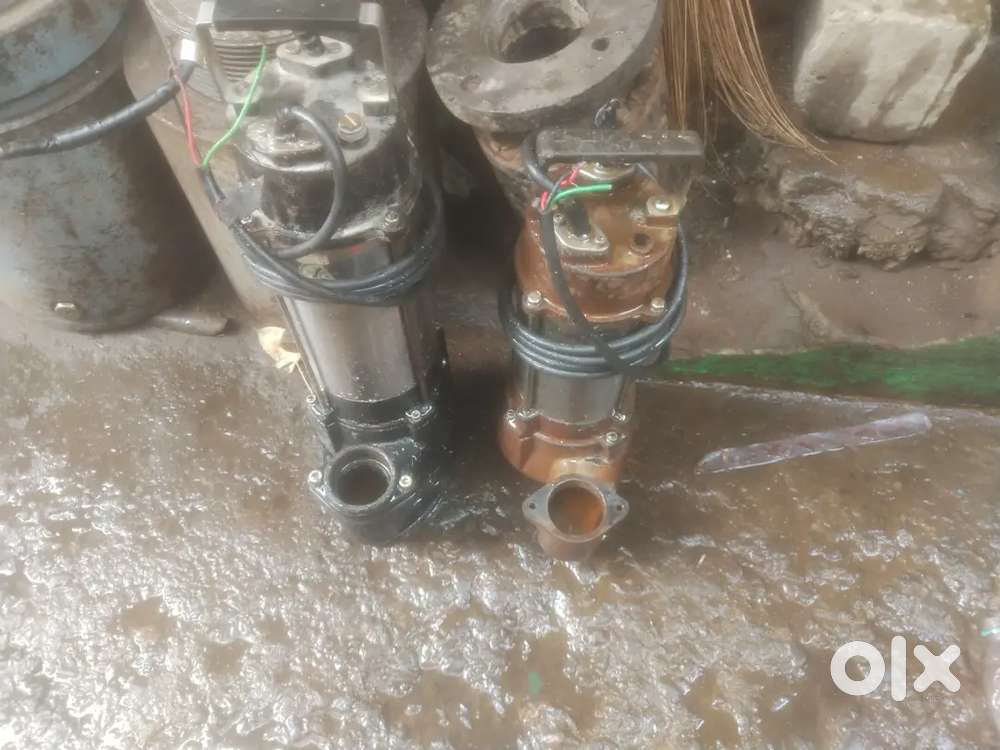 Diwatter pump motor
