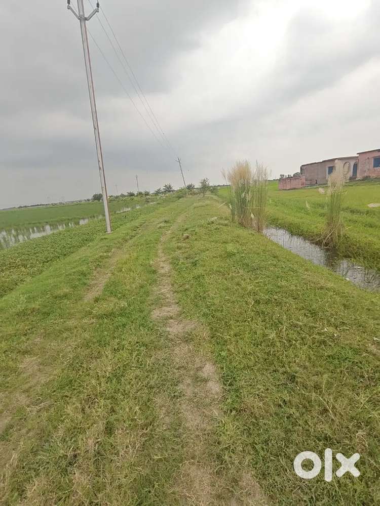 Khet for sale in sikthiujari dps road 799999/bigha