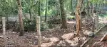 Land for sale Marthandam.